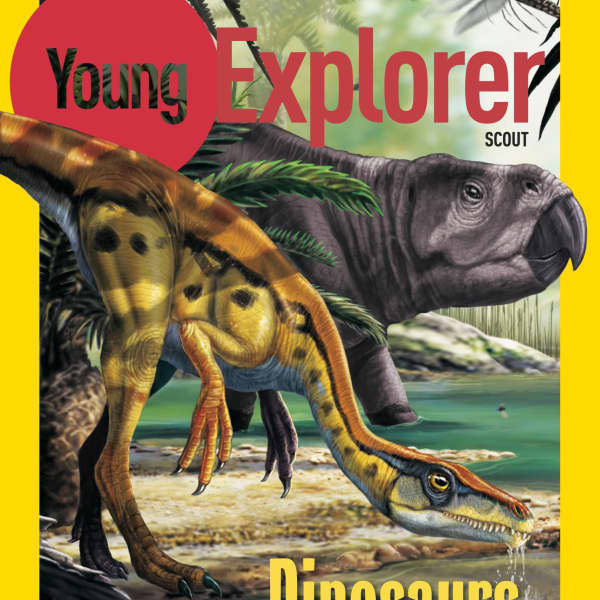 NATIONAL GEOGRAPHIC EXPLORER MAGAZINE SUBSCRIPTION visual data 6